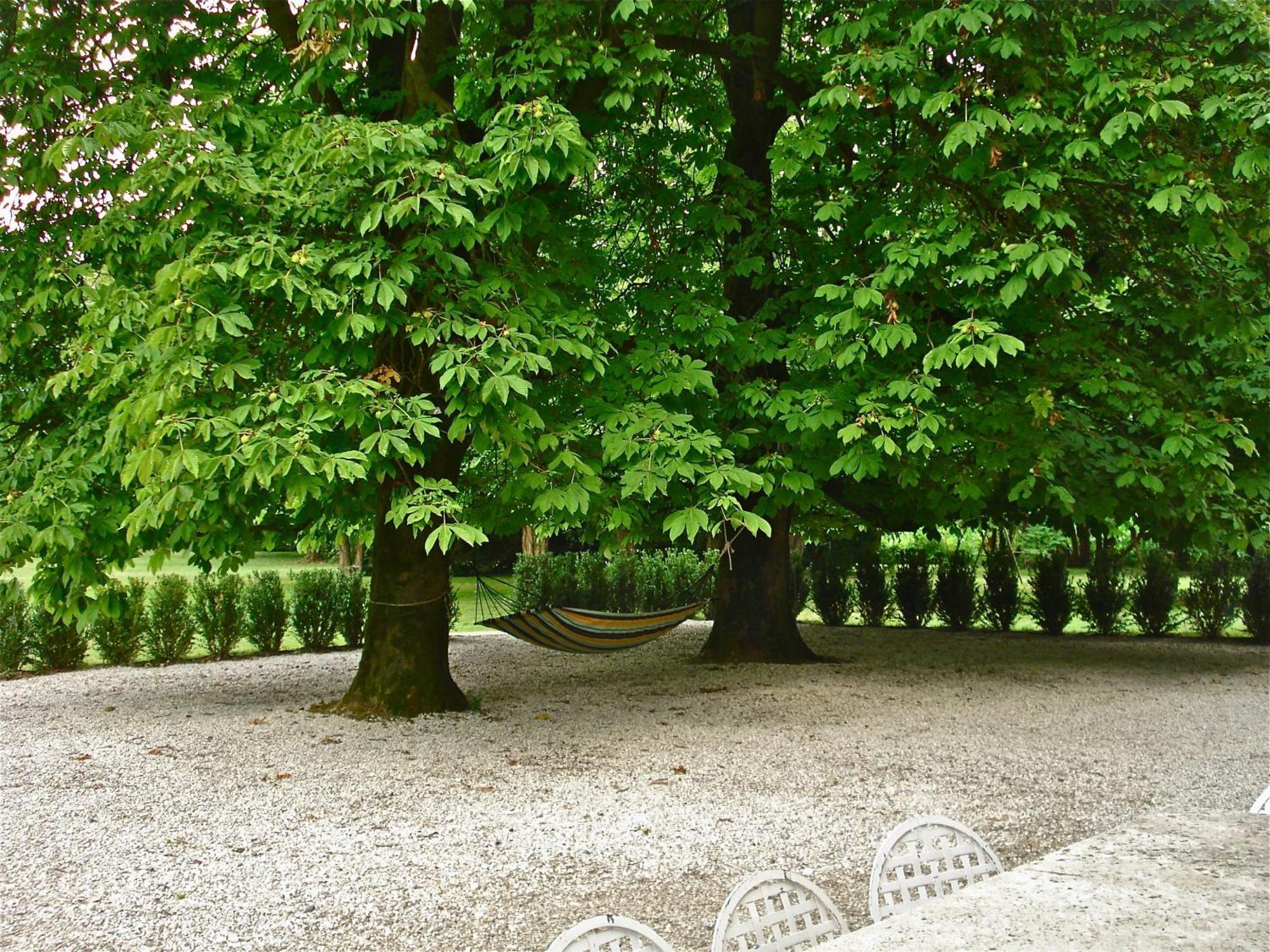 Villa Maffei Rizzardi Palu Exterior photo
